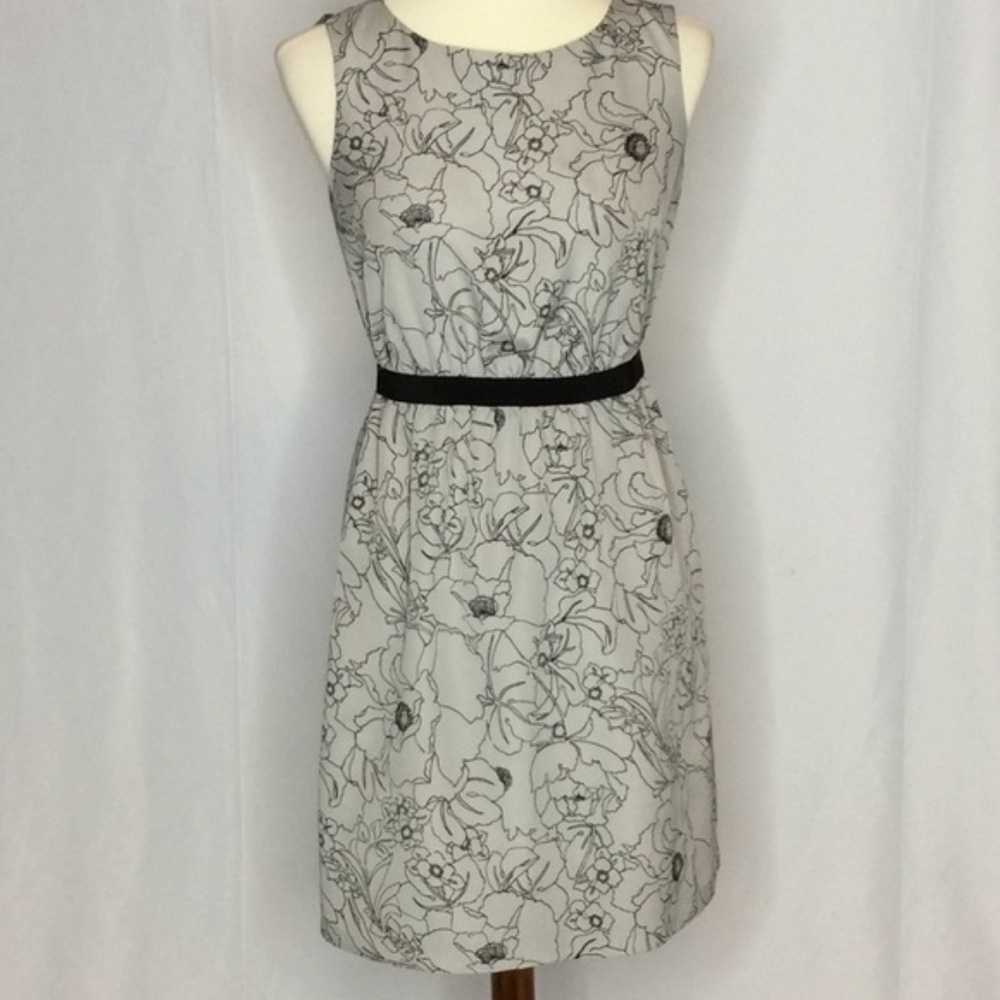 Ann Taylor Loft Gray & Black Floral A-Line Dress